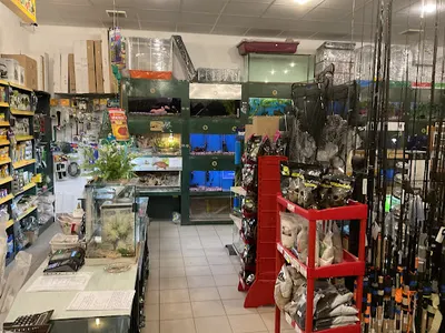 Sklep zoologiczno - wędkarski ŻAKO Bogusław Sala 96-100 Skierniewice ul.Iwaszkiewicza 13